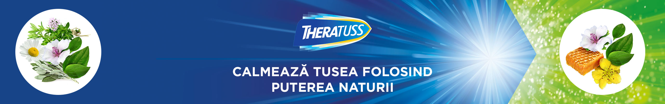 Theratuss Logo